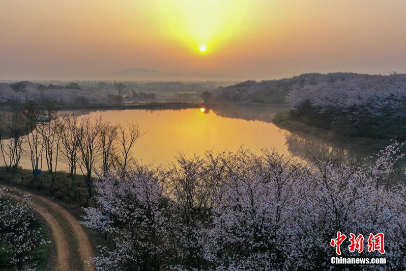 Весна пришла в китайскую деревню Синьхэ