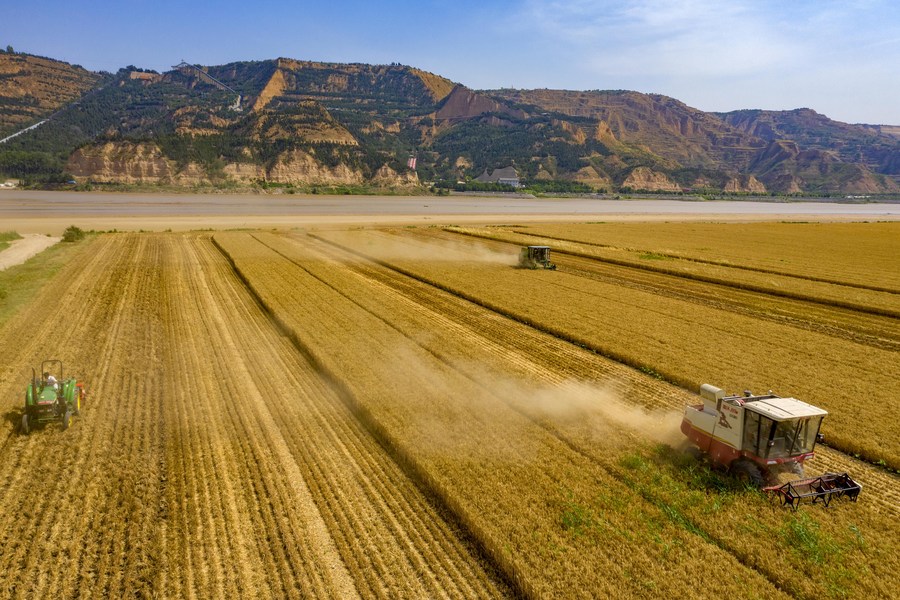 Си Цзиньпин подчеркнул важность модернизации сельского хозяйства и сельских районов для содействия подъему села