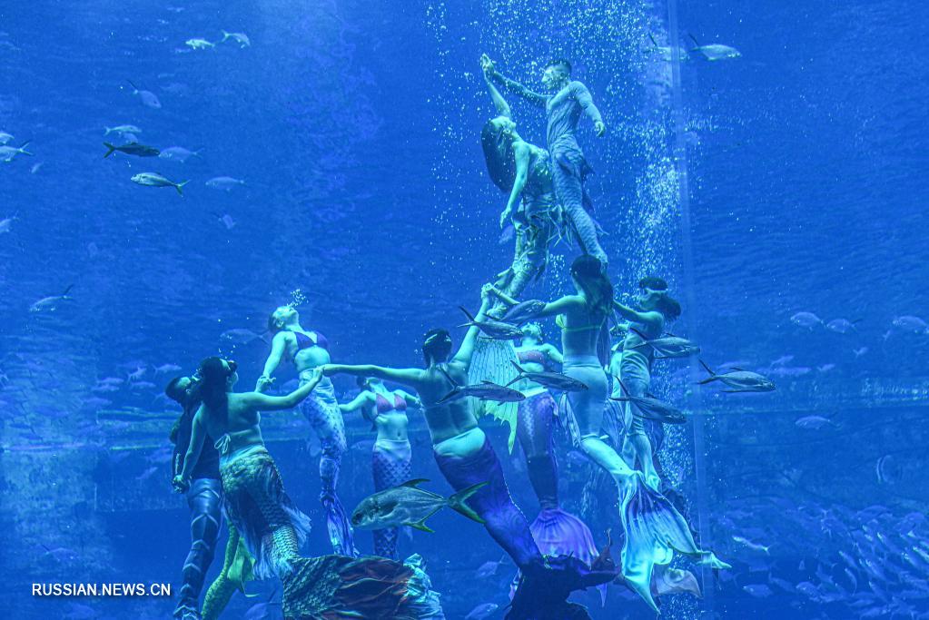 На Хайнане прошло "самое масштабное подводное шоу русалок"