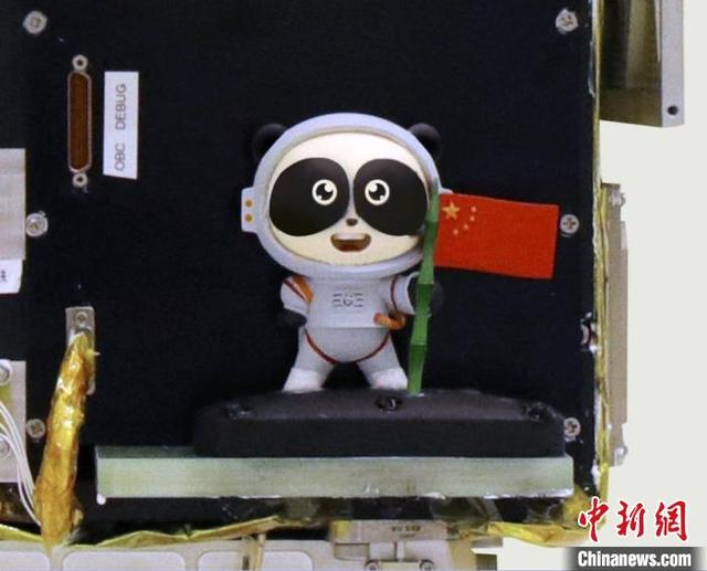 3D-модель большой панды отправлена в космос