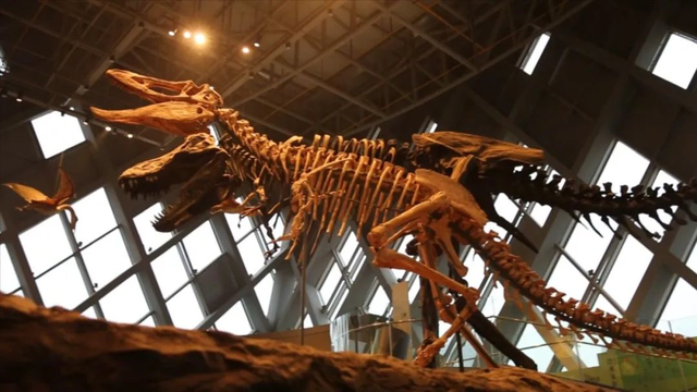В Восточном Китае обнаружены окаменелые яйца динозавров мелового периода