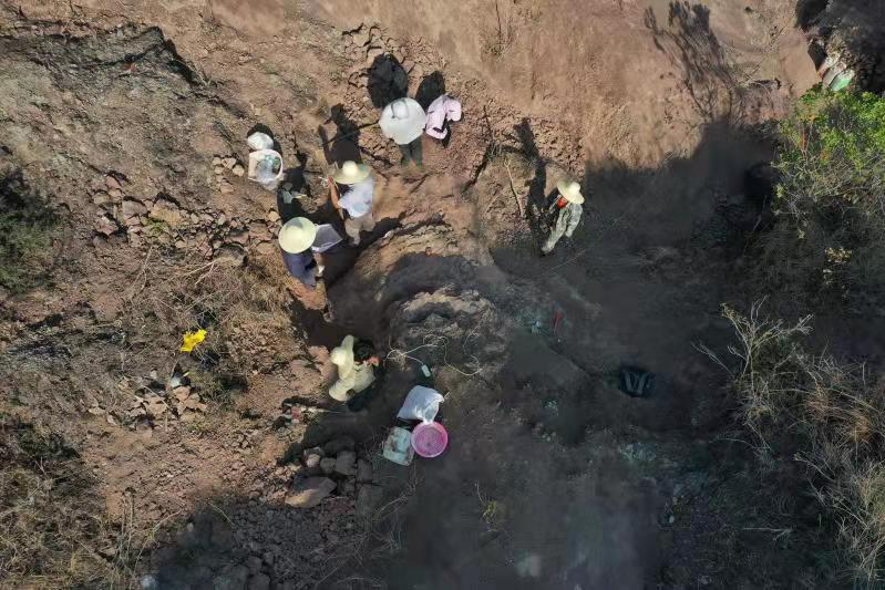 На юго-западе Китая обнаружена окаменелость детеныша динозавра возрастом 200 млн лет