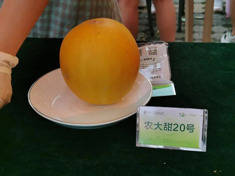В китайском университете на праздничном столе для выпускников появились фрукты - результаты исследований студентов 