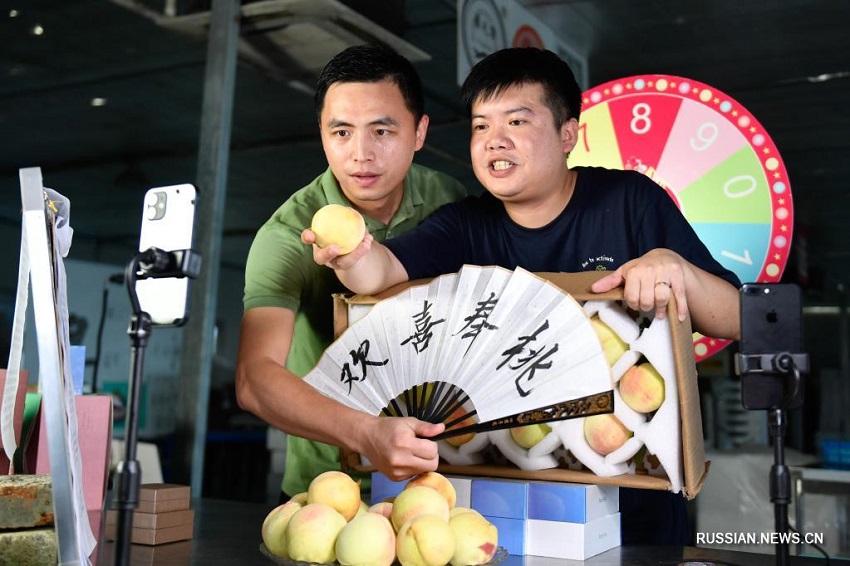 Начался сезон сбора урожая и продажи медовых персиков на востоке Китая