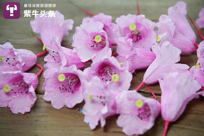 Изящные цветы из бумаги от Шу Синь