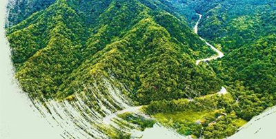 Объяснены причины частого обнаружения редких диких животных и растений в горах Циньлин провинции Шэньси