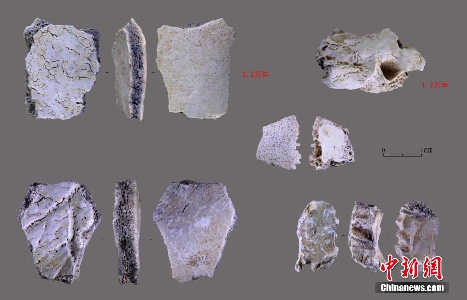 В провинции Хэнань обнаружена окаменелость человеческого черепа возрастом 32 тыс. лет