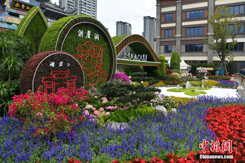 Китайский город Куньмин украсили 100 цветочных клумб по случаю COP15
