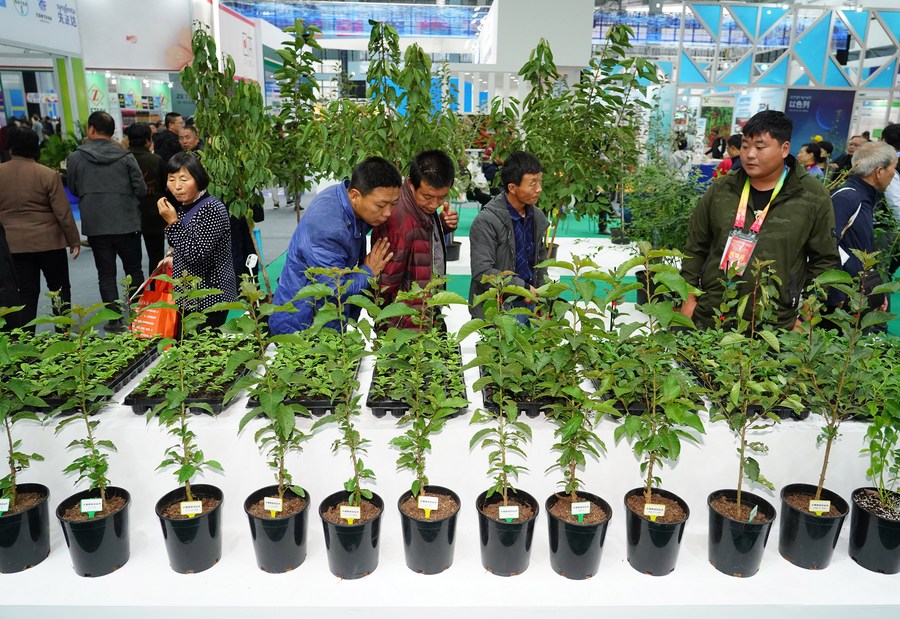 В пров. Шэньси пройдет ярмарка высокотехнологичных достижений в сфере сельского хозяйства