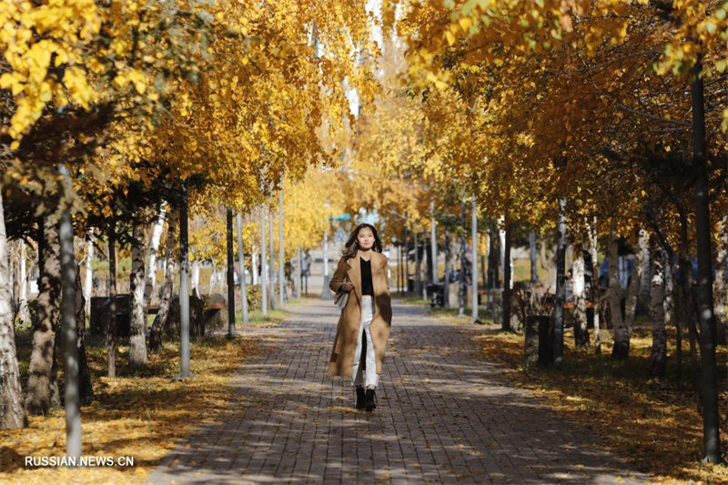 Осенние пейзажи столицы Казахстана