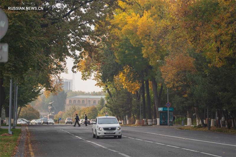 Волшебные краски осени в столице Узбекистана