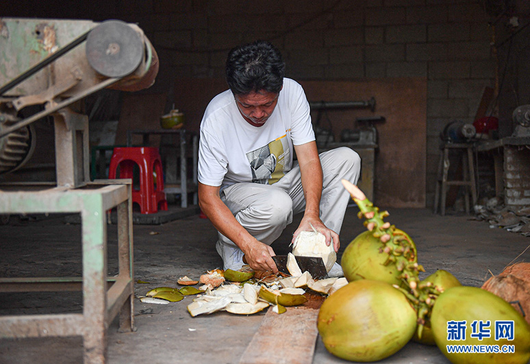 Хайнаньская резьба по кокосу