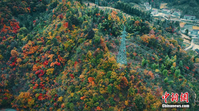 Красочные горные леса в уезде Юэси провинции Аньхой