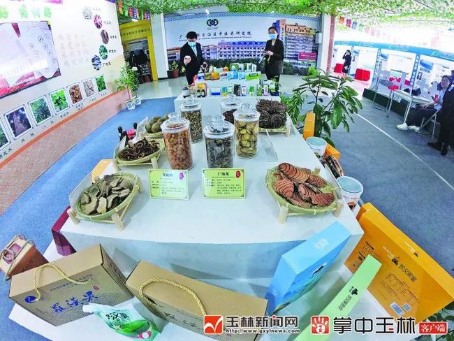 В городе Юйлинь состоялась 12-ая Китайская ярмарка традиционной китайской медицины