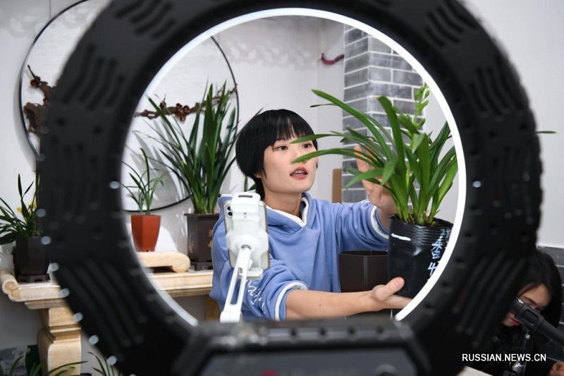 Производители орхидей из уезда Вэнъюань осваивают электронную торговлю