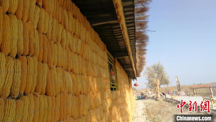 Китайские фермеры построили дом из 50 тонн кукурузы