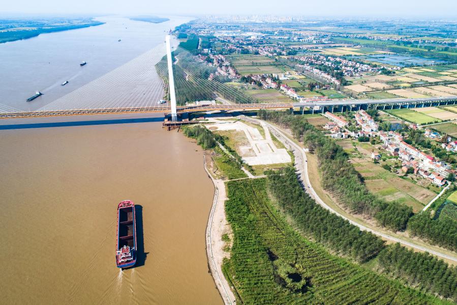 Почти 182 тыс. мальков редкого вида рыбы выпущены в реку Янцзы