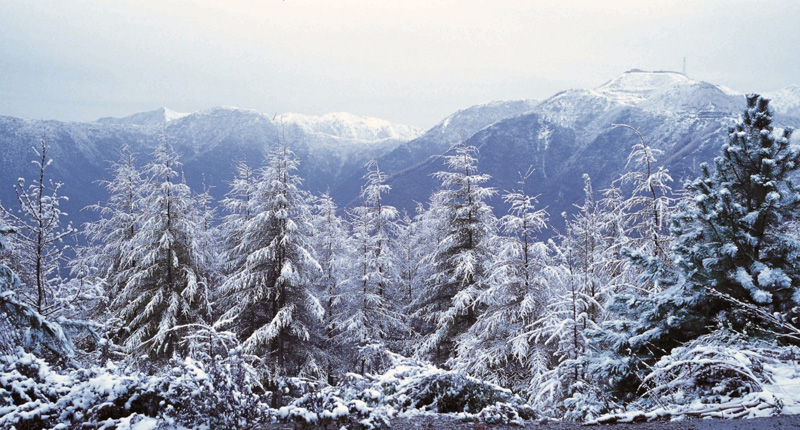 Красочная зима в Нинся-Хуэйском автономном районе