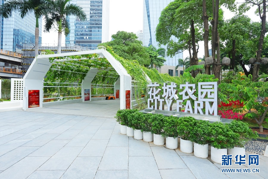 В Гуанчжоу открылась "городская ферма"
