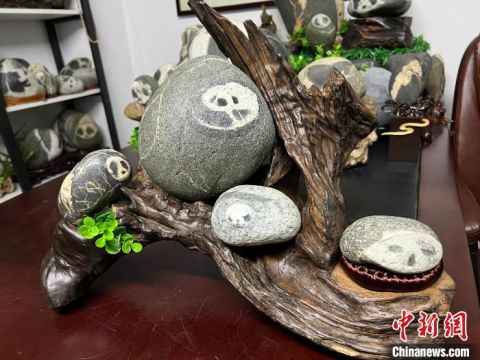 Китаец собрал 300 речных камней в виде большой панды