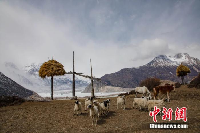 Зимние пейзажи в Тибете Китая