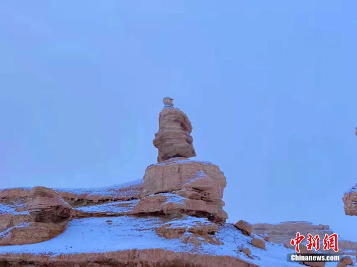 В китайской пустыне выпал снег