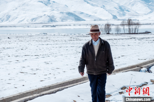 Тибетский фермер семь лет подряд ухаживает за редкими черношейными журавлями