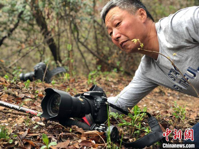 Китайский егерь снимает на камеру редкий вид оленей