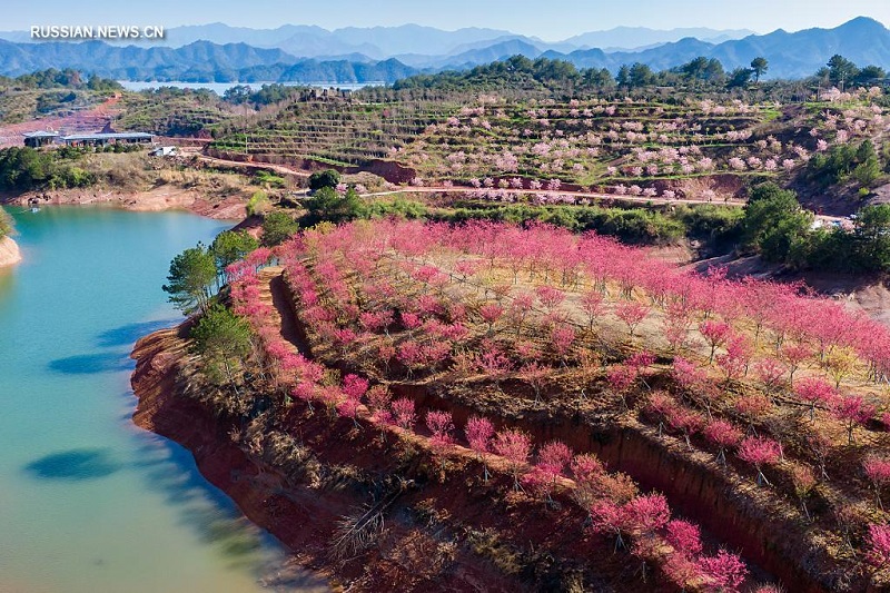 Весенняя красота в сельской местности Китая