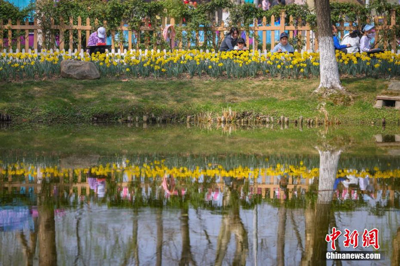 В воздухе города Нанкин парит весна