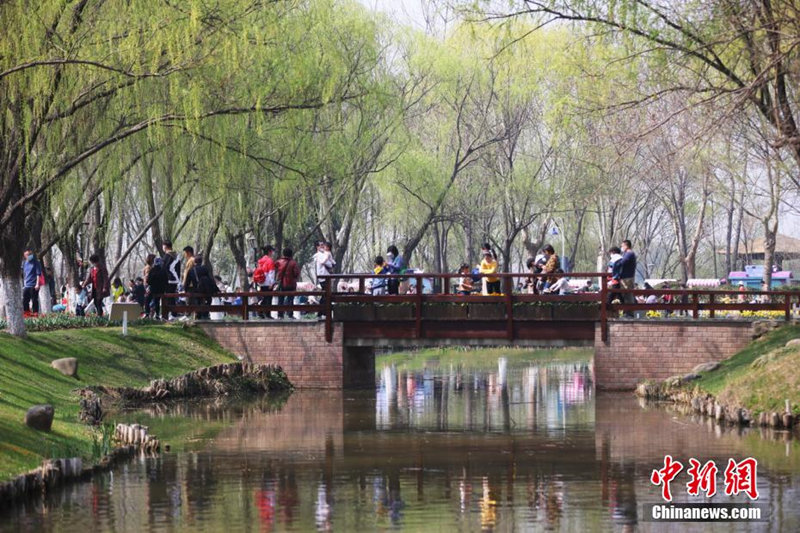 В воздухе города Нанкин парит весна