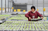 Китайская пищевая промышленность демонстрирует устойчивый рост производства и продаж