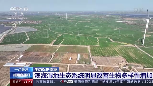 В Китае сформирована новая система экологического восстановления