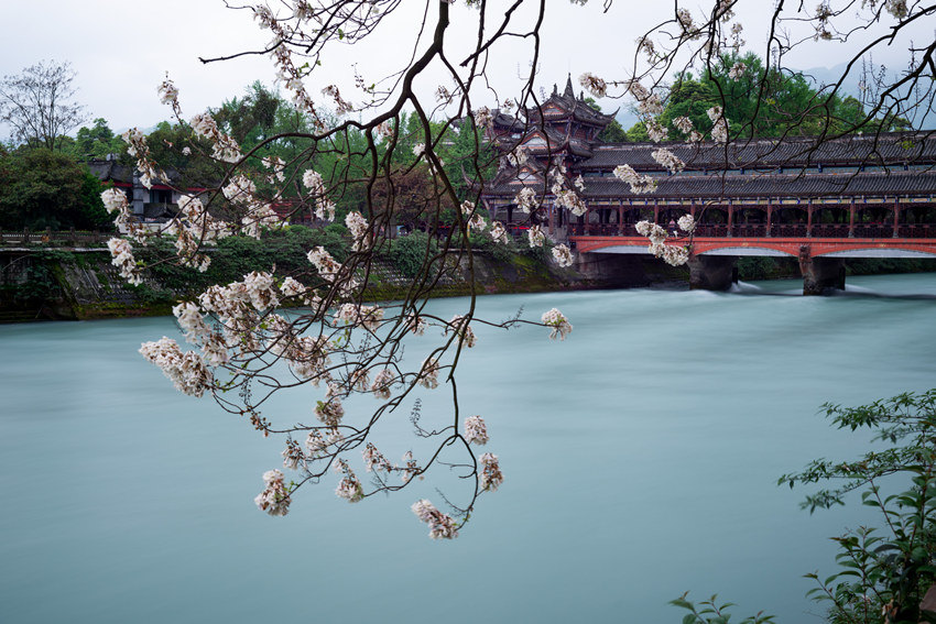 Весенний пейзаж у «надводной художественной галереи» на мосту Дуцзянъянь