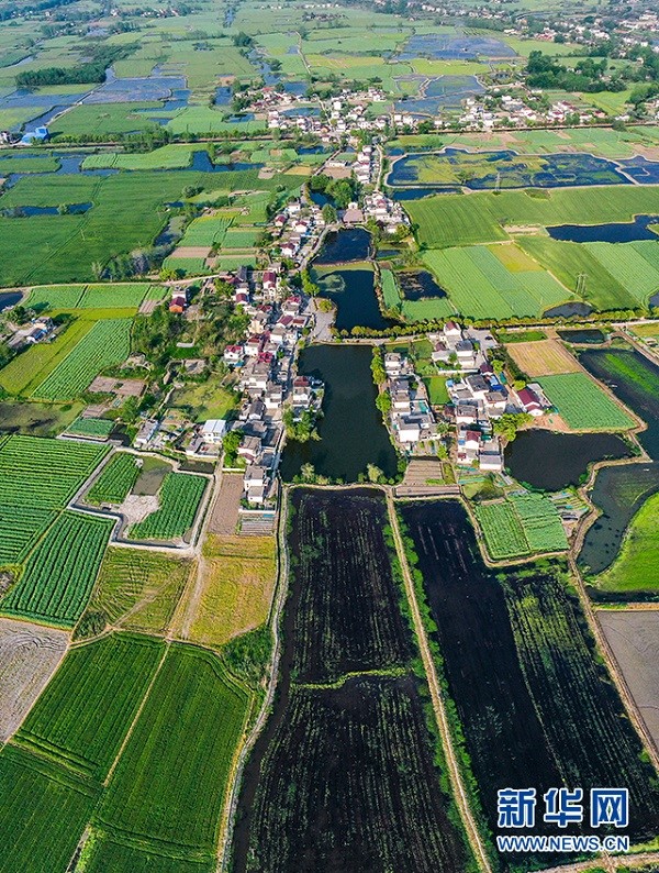 Красочная деревня Лицяо на востоке Китая в весеннюю пору