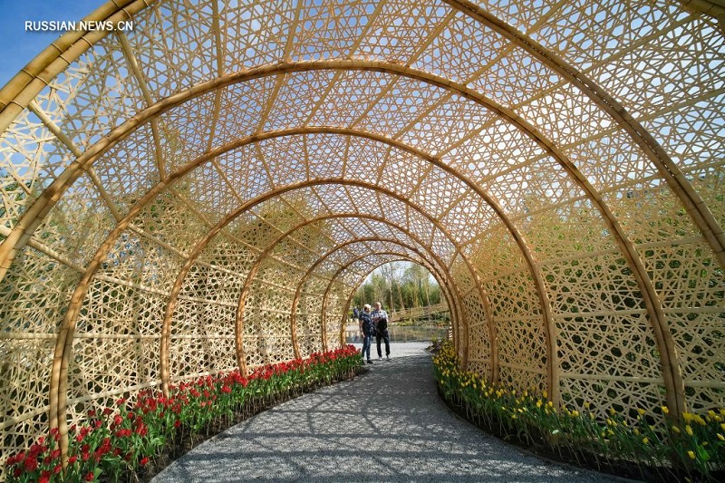 Фотоподборка павильона Китая на выставке Floriade Expo 2022