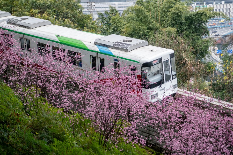 Объем пассажиропотока на городском рельсовом транспорте в Китае сократился в марте 2022 года