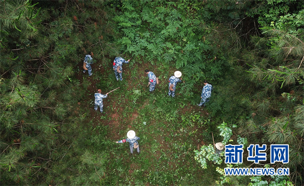 Благоприятная экологическая обстановка усиливает ощущение счастья населения провинции Гуйчжоу