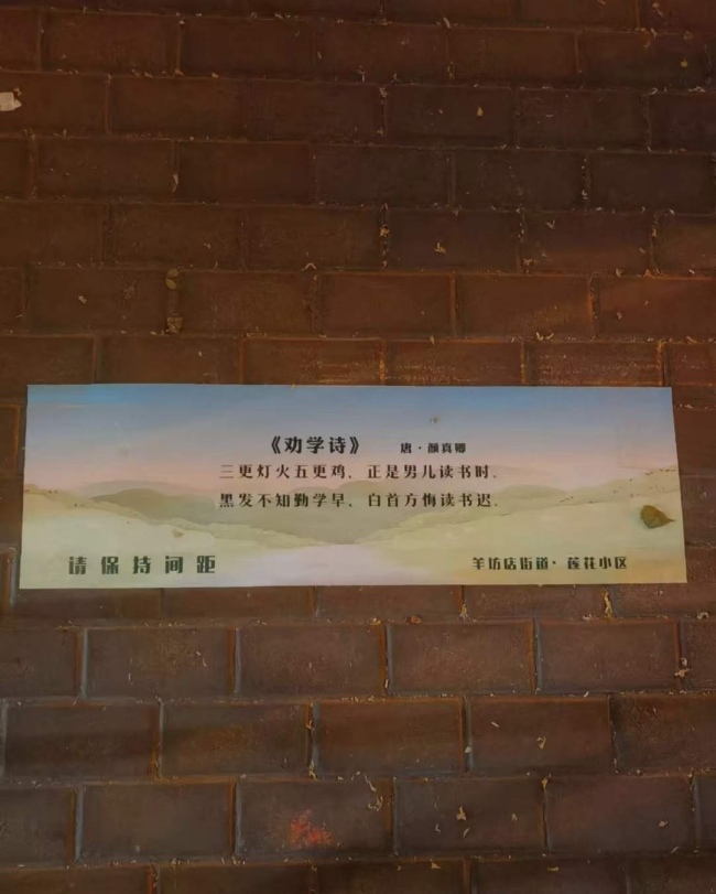 Замечательная идея старшеклассника из Пекина: древние стихи появились на месте тестирования на нуклеиновые кислоты