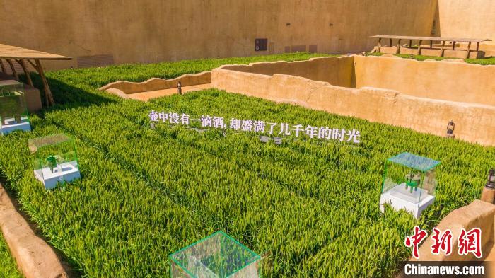 Выставка на пшеничных полях в Центральном Китае