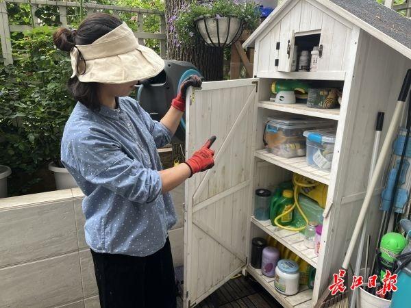 Китаянка вырастила 320 сортов китайской розы возле дома