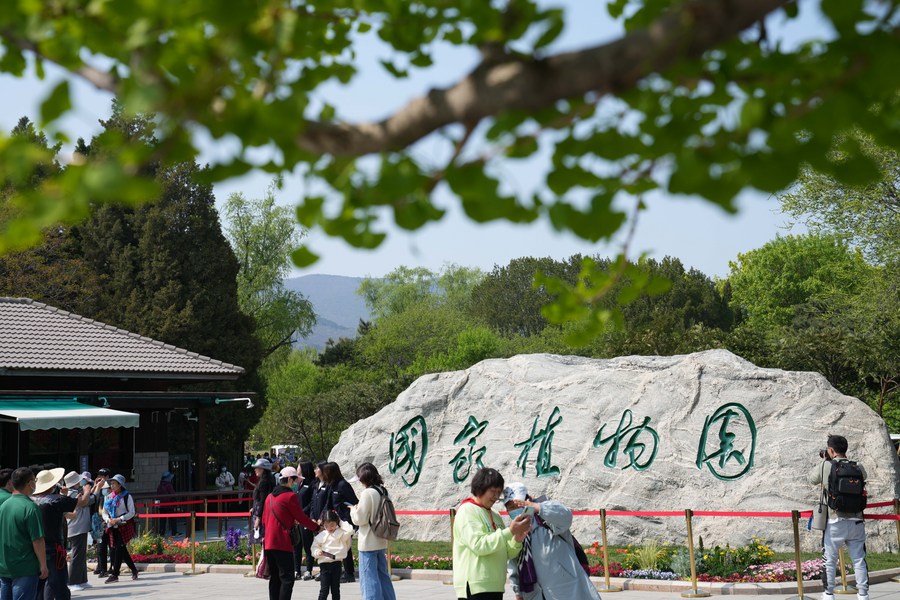 Китай ускорит строительство систем национальных парков и национальных ботанических садов