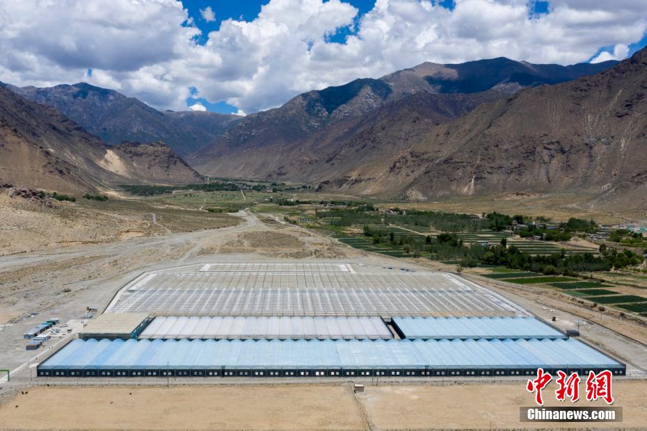 Завод по производству растений в Тибете намерен сделать пустыню Гоби "плодородным полем"