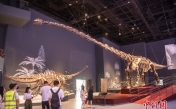 Посещение Чэндуского музея естествознания