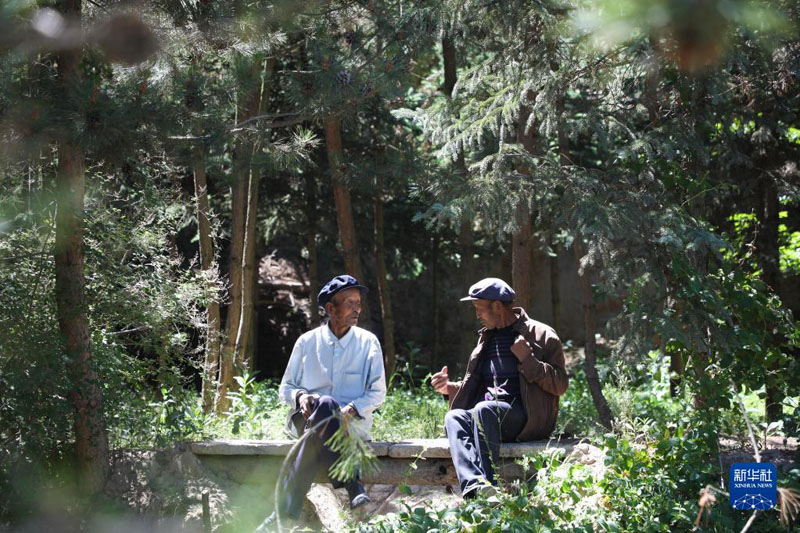 Китайские братья-близнецы более 50 лет сажали деревья на холмах