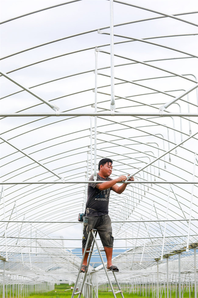 В уезде Лэань построят теплицы для обогащения фермеров