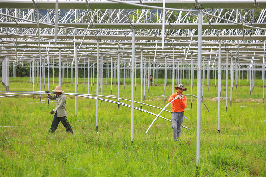 В уезде Лэань построят теплицы для обогащения фермеров