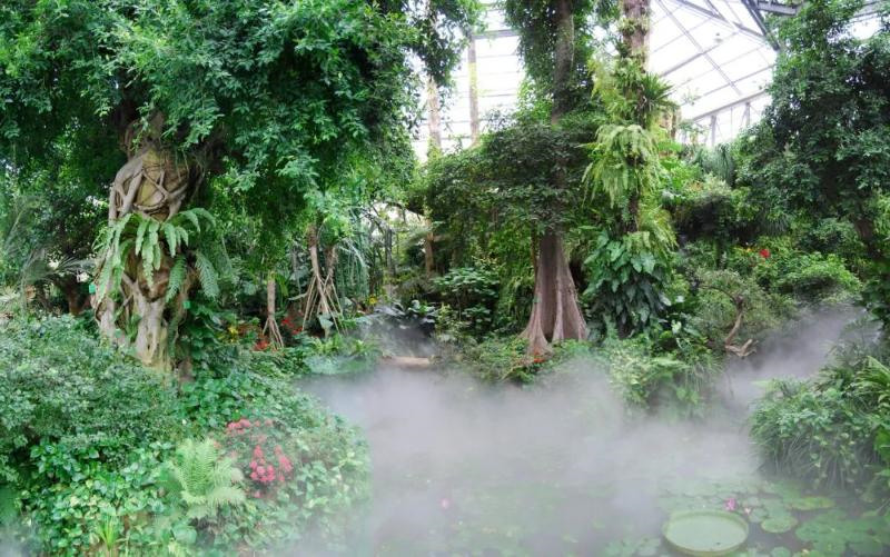 Источник фото: официальный сайт Национального ботанического сада Хуанань