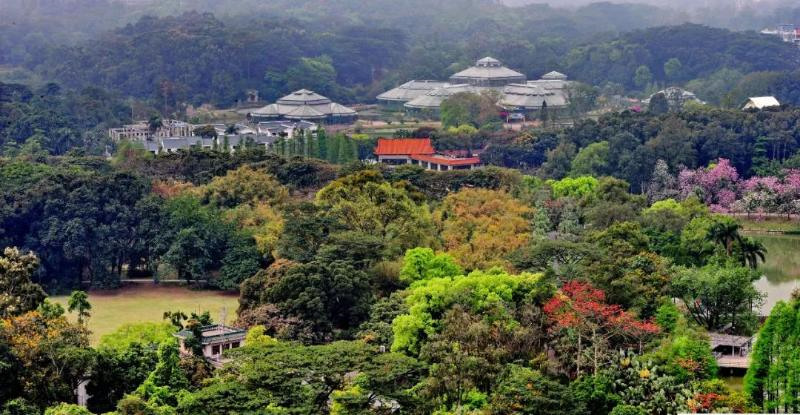 Источник фото: официальный сайт Национального ботанического сада Хуанань