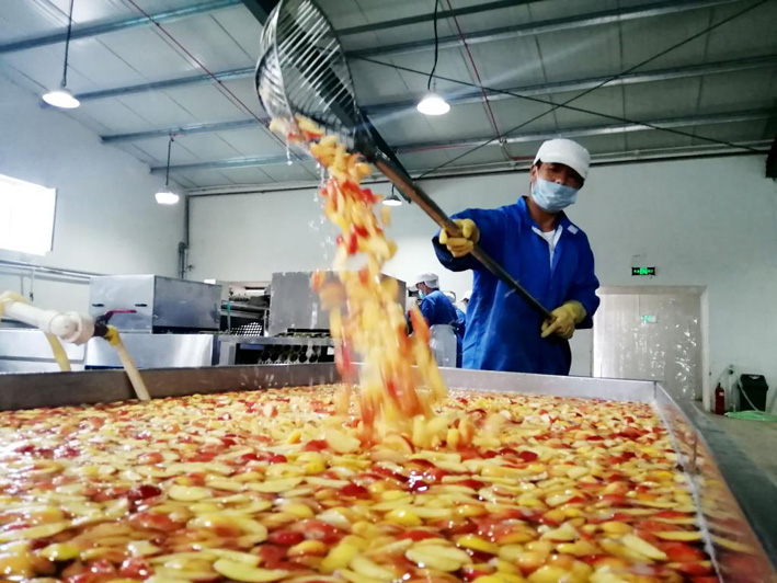 Хошун на севере Китая обогащается путем выращивания азиатской яблони
